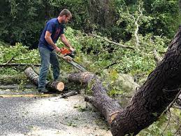 Mulching Services in Canton, SD